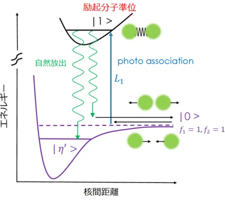 図 3.2.5 レーザー光 L 2 によって | 1 > 状態が消される